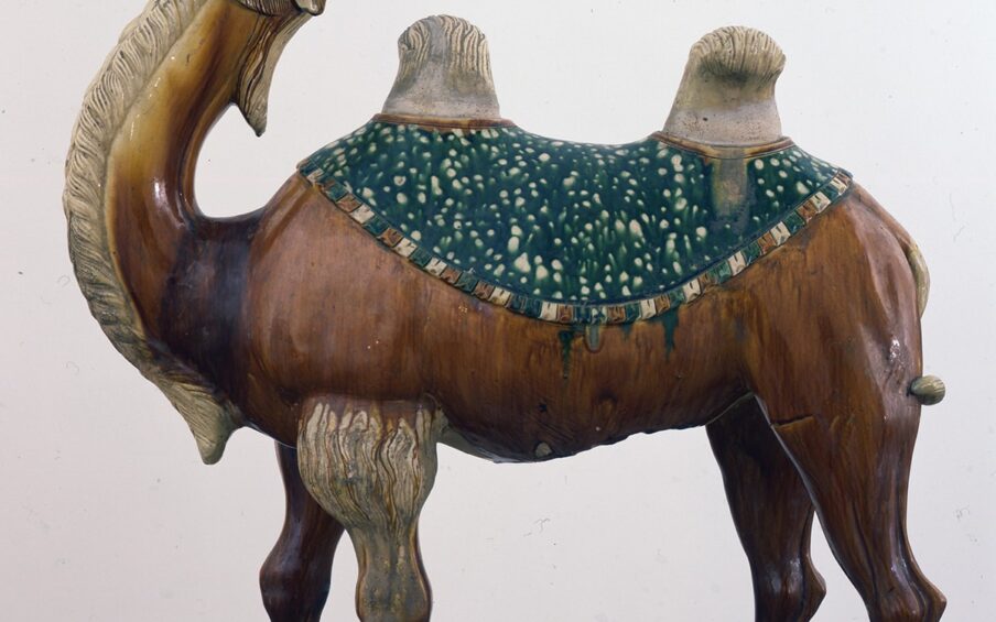 Sculpture of a camel viewed in profile facing left, its head thrown back, with mouth open, teeth and tongue visible. It has a small ear and round beige colored eye opened wide. All four legs are visible from the side view; the legs behind one step ahead of those closest to the viewer. Its body, neck, and head are smooth and are glazed in medium to light brown tones. In some areas the glazing appears streaky and drippy; a band of dark brown rings the camel’s neck at its base. Deep incising creates longish, shaggy fur in a creamy beige color on the camel’s head, mane, and underside of the neck running down to its torso. A deep green blanket in the shape of a half circle covers the camel’s back. Two furry textured humps protrude through two openings of the blanket. A multitude of creamy beige dots decorate the blanket and appear runny on the green background. It is edged with a fringe alternating between dark brown, creamy beige, and deep green. The camel’s foreleg has tufts of creamy beige, shaggy fur at the top. The camel stands on sturdy looking, knobbly legs ending in large wide hooves that appear rough and unglazed and are attached to an uneven, rough, unglazed, rectangular base resting on a modern wooden platform.