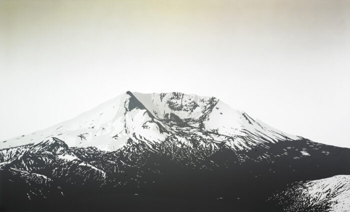 Cameron Martin American, born 1970 Remission, 2006 Acrylic on canvas 80 1/8 x 132 1/8 inches (203.5 x 335.6 cm) Saint Louis Art Museum, The Henry L. and Natalie Edison Freund Charitable Trust