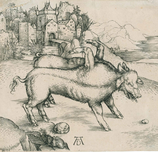 Durer-cropped