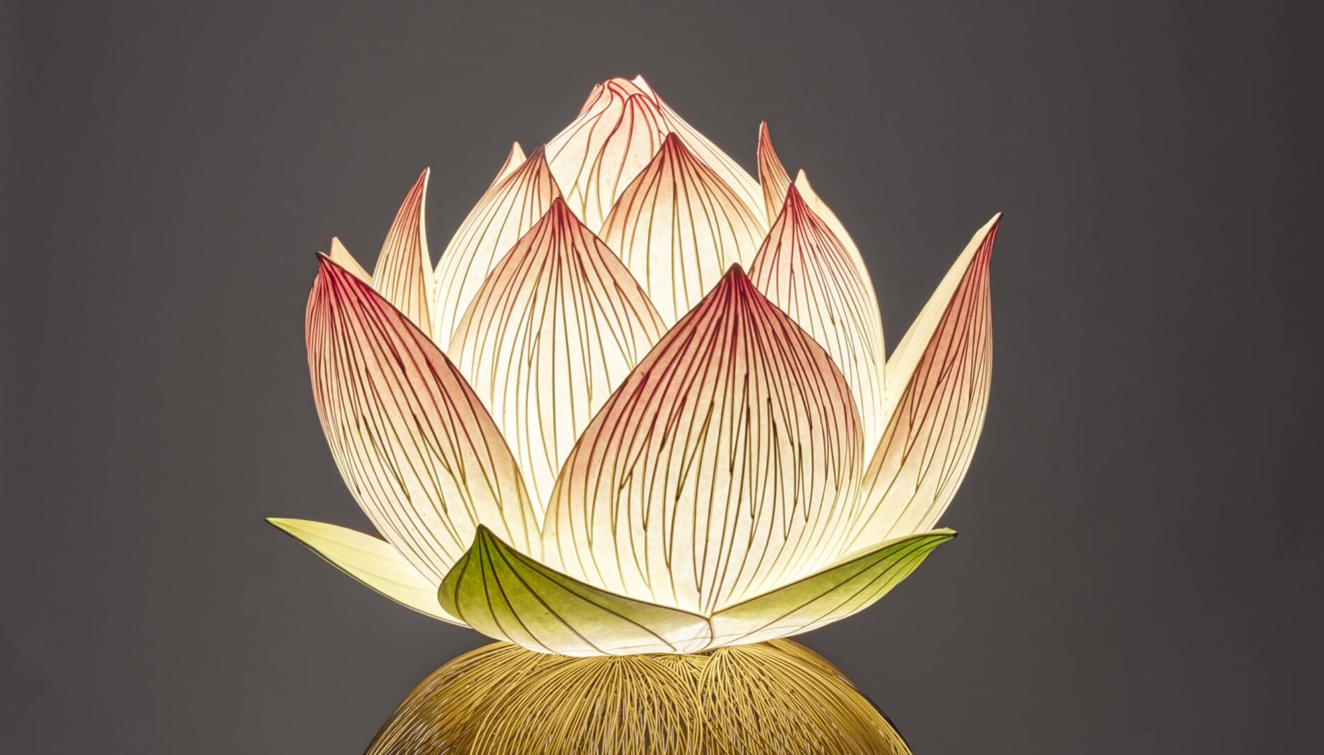 A paper lotus flower.