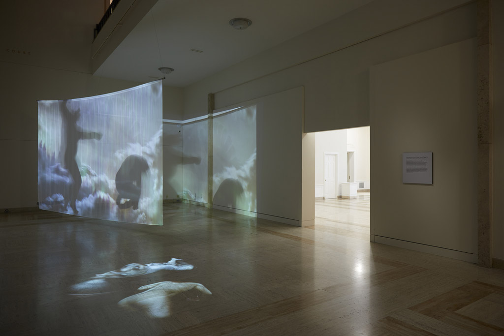 Video projection on gallery walls.