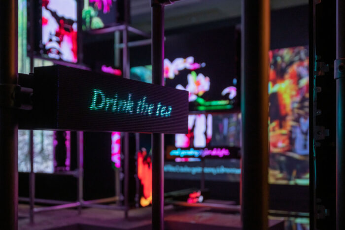 A dark gallery with various screens showing AI flowers and a pixelated screen that says "Drink the tea" in the foreground