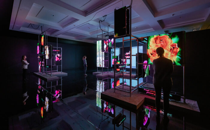 Dark room with video screens showing bright flowers