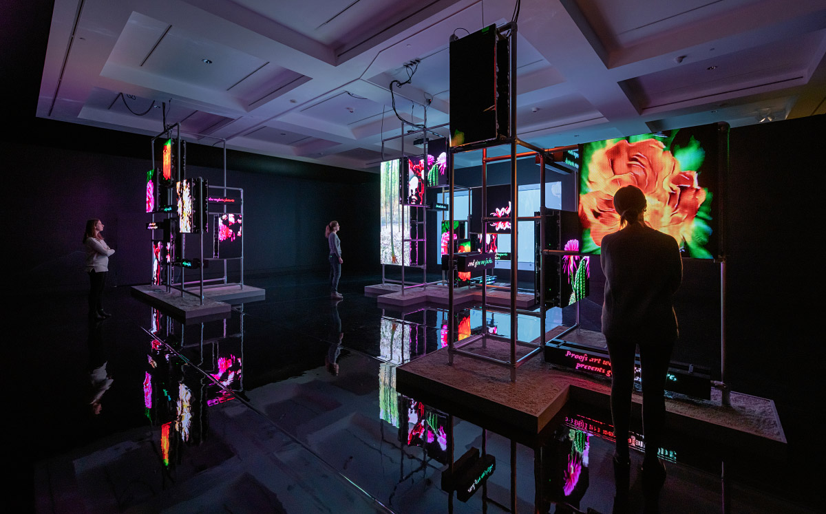 Dark room with video screens showing bright flowers