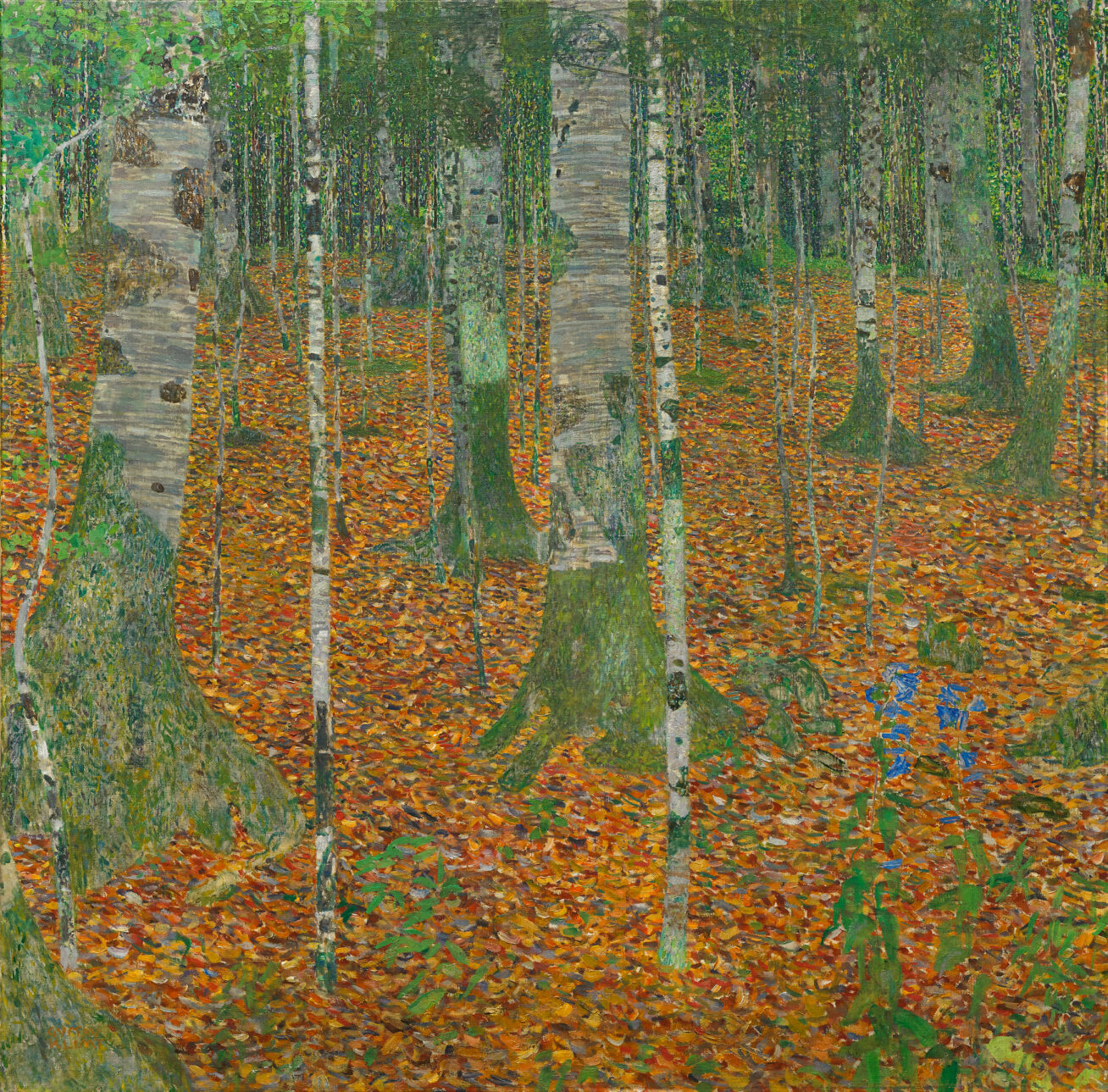 Painting of a forest of birch and other trees with orange and yellow leaves on the ground.