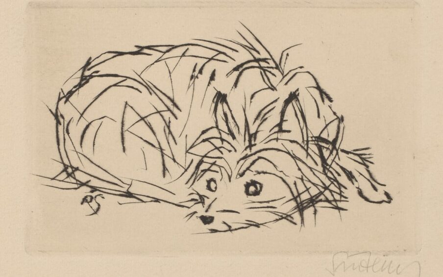 Image description: Dog (New Year’s Greeting Card), 2 13/16 x 4 3/8 inches, drypoint on paper. A print on light tan colored paper depicting a small scruffy coated dog curled up with its head resting on the floor. The dog is illustrated using relatively few black lines, showing a textured, wiry coat. The dog is laying down with its paws tucked under its body and head tucked back towards its hind leg. One paw does peek out from behind the pup’s head at far right. Upright pointed ears mimic a pointed snout accented with whiskers and a tiny nose. The dog’s unruly coat gives it a scruffy, slightly bedraggled appearance. The black lines that compose it have an uneven and ragged edge adding to the dog’s unkempt presentation.