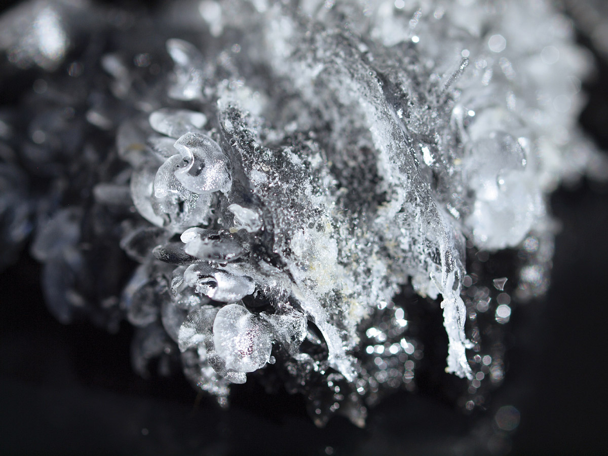 Laura Fritz, detail of Specimen A038, 2019, courtesy of the artist.