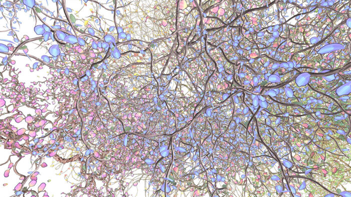 Abstract video installation with tree-limb and leaf-like patterns