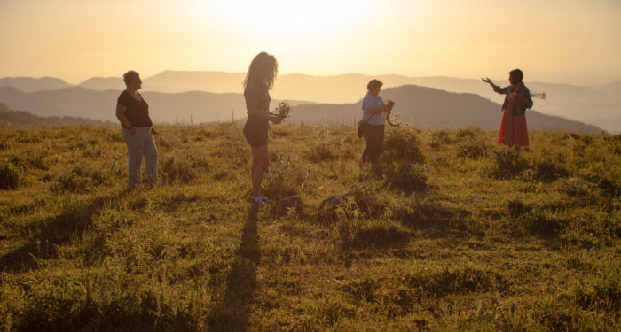 Four people gathering plants on a hill backlit by a sunrise.