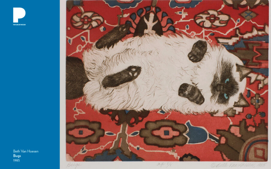 Print of a fluffy cat laying on its back on a patterned red rug