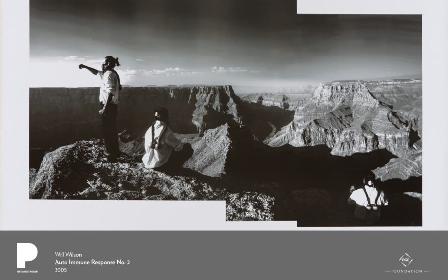 Poster for Will Wilson, Auto Immune Response No. 2, 2005