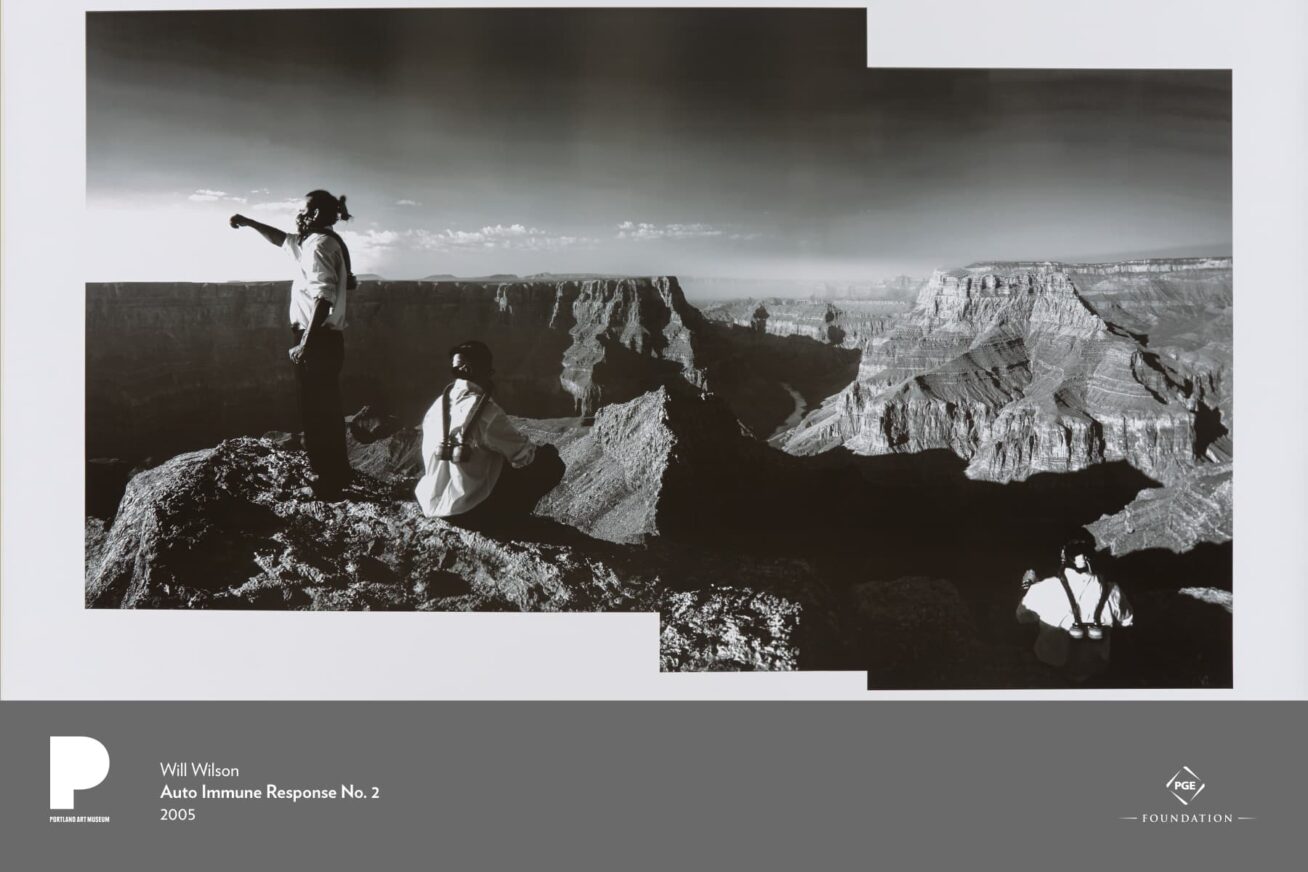 Poster for Will Wilson's "Auto Immune Response No. 2"