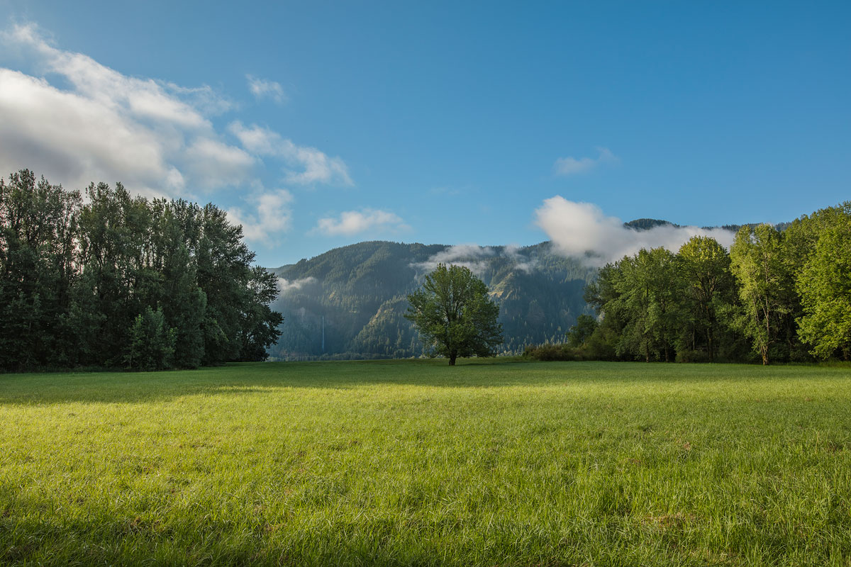 © Chris Hornbecker Photographer